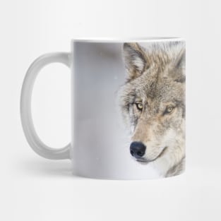 Gray Wolf Looking Back Mug